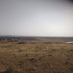 Satılır Torpaq, Fatmayi, Nazlı şadlıq sarayı, Abşeron rayonu 4