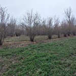 Satılır 3 otaqlı Bağ evi Xaçmaz 10