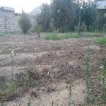 Satılır Torpaq, Masazır, Abşeron rayonu 3