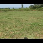 Satılır Torpaq Lənkəran 4