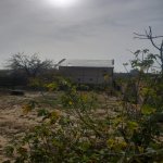 Продажа 4 комнат Дача, Горадиль, Абшерон район 4