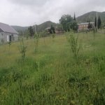 Satılır 3 otaqlı Həyət evi/villa İsmayıllı 7
