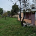 Kirayə (aylıq) 1 otaqlı Bağ evi İsmayıllı 10