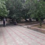Kirayə (aylıq) 1 otaqlı Köhnə Tikili, Elmlər akademiyası metrosu, Yasamal rayonu 15
