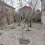 Satılır 7 otaqlı Həyət evi/villa, Saray, Abşeron rayonu 10