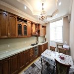 Kirayə (aylıq) 4 otaqlı Yeni Tikili, Nəriman Nərimanov metrosu, Heydər Əliyev Mərkəzi, Nərimanov rayonu 13