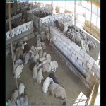 Продажа Объект, Зиря, Академия Авиации, Хязяр район 5