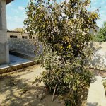 Продажа 5 комнат Дома/Виллы, м. Короглу метро, пос. Курдаханы, Сабунчу район 20