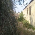Satılır Torpaq, Novxanı, Abşeron rayonu 9