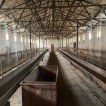 Продажа Объект, Перекюшкюль, AAAF PARK, Абшерон район 6