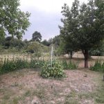 Kirayə (günlük) 3 otaqlı Bağ evi İsmayıllı 5