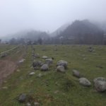 Satılır Torpaq Lənkəran 2
