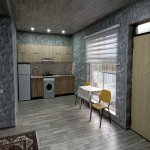 Kirayə (günlük) 3 otaqlı Bağ evi İsmayıllı 12