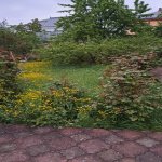 Kirayə (günlük) 2 otaqlı Bağ evi Quba 4