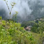 Kirayə (günlük) 3 otaqlı Həyət evi/villa Qax 11