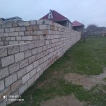 Satılır Torpaq, Saray, Abşeron rayonu 4