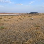 Продажа Участок, Сарай, Абшерон район 18