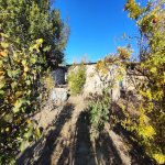 Продажа Участок, Хетаи район 3