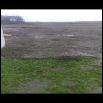Kirayə (aylıq) Torpaq Masallı 3