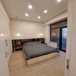 Kirayə (aylıq) 2 otaqlı Yeni Tikili, Nizami metrosu, Qış parkı, Nəsimi rayonu 11