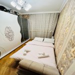 Kirayə (günlük) 3 otaqlı Yeni Tikili, Xətai metrosu, Xətai rayonu 22