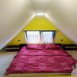 Kirayə (günlük) 2 otaqlı Bağ evi Lənkəran 5