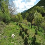 Satılır 3 otaqlı Həyət evi/villa İsmayıllı 25