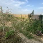 Продажа 4 комнат Дома/Виллы, м. Короглу метро, пос. Забрат, Сабунчу район 8