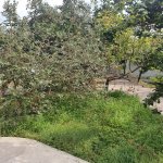 Kirayə (aylıq) Obyekt, Bakıxanov qəs., Sabunçu rayonu 10