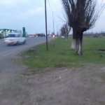 Satılır Torpaq Lənkəran 2