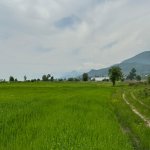 Продажа Участок Исмаиллы 1