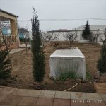 Satılır 3 otaqlı Bağ evi, Koroğlu metrosu, Nardaran qəs., Sabunçu rayonu 13