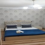 Kirayə (aylıq) 3 otaqlı Həyət evi/villa Qəbələ 22