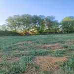 Продажа Участок Бейлаган 7