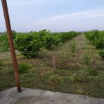 Satılır 2 otaqlı Bağ evi Xaçmaz 2