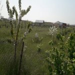 Satılır Torpaq Quba 3