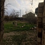 Satılır Torpaq, Fatmayi, Abşeron rayonu 6