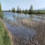 Продажа Участок Хачмаз 73