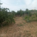 Satılır Torpaq, Maştağa qəs., Sabunçu rayonu 7