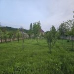 Satılır Torpaq Qəbələ 7