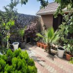 Kirayə (günlük) 3 otaqlı Bağ evi, Bilgəh qəs., Sabunçu rayonu 7