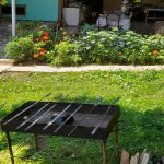 Kirayə (günlük) 4 otaqlı Həyət evi/villa Qax 13