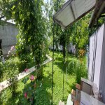 Kirayə (günlük) 3 otaqlı Həyət evi/villa Qəbələ 5