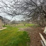 Satılır Torpaq, Şüvəlan, Xəzər rayonu 6