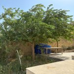 Аренда 5 комнатная Дома/Виллы Хырдалан 4