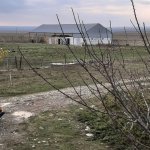 Satılır 5 otaqlı Bağ evi Şamaxı 23