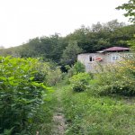 Satılır 3 otaqlı Həyət evi/villa İsmayıllı 16
