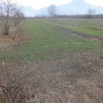 Satılır Torpaq Zaqatala 1