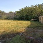 Satılır Torpaq, Novxanı, Abşeron rayonu 8