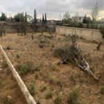 Satılır Torpaq, Abşeron rayonu 5